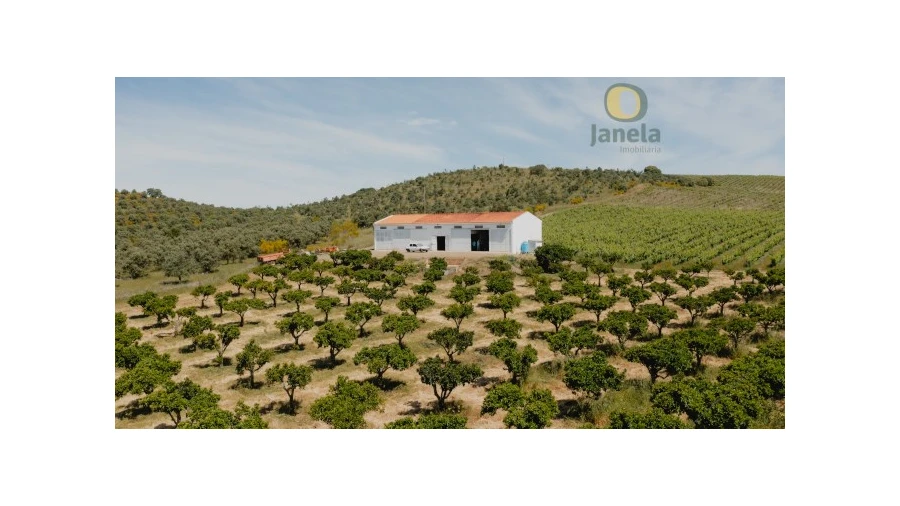 Quinta T10 para Venda em Vidigueira Foto 2