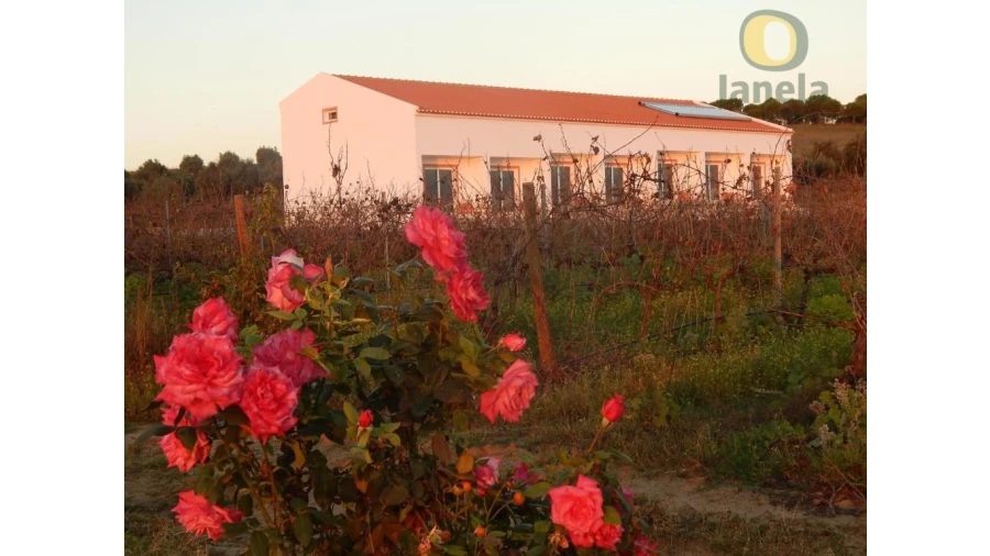 Quinta T10 para Venda em Vidigueira Foto 7