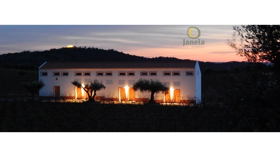 Quinta T10 para Venda em Vidigueira Foto 8