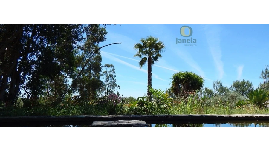 Quinta T10 para Venda em Vidigueira Foto 9