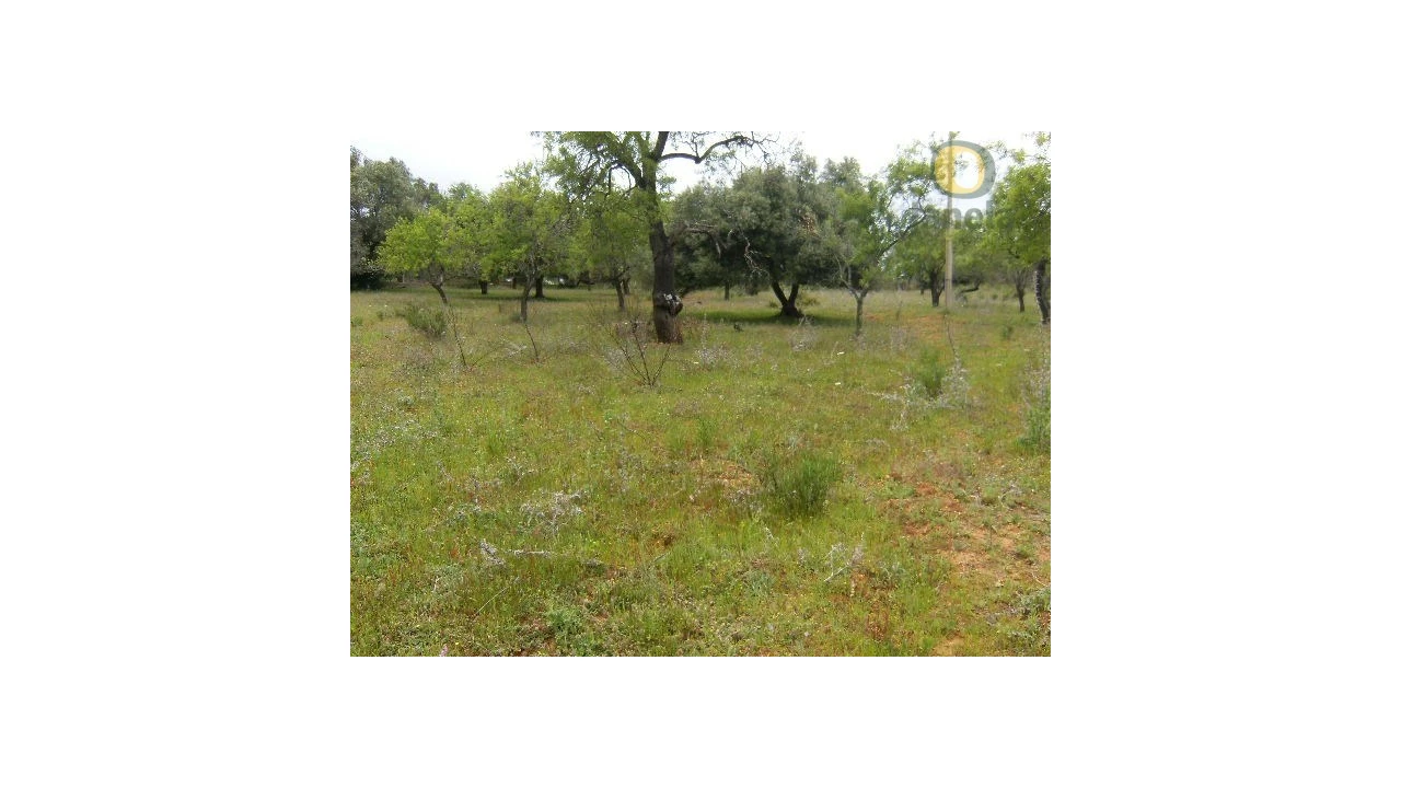 Terreno Agricola ou Rústico para Venda em Loule (São Sebastião) Foto 1