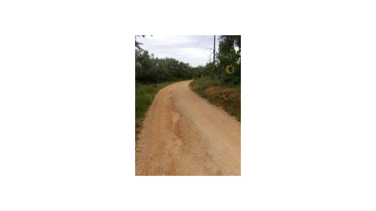Terreno Agricola ou Rústico para Venda em Loule (São Sebastião) Foto 2