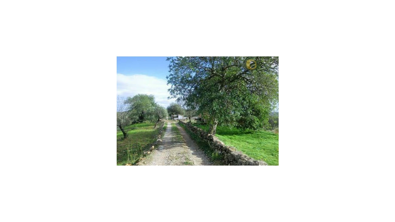 Terreno Misto para Venda em São Brás de Alportel Foto 5