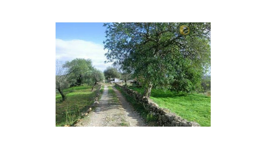 Terreno Misto para Venda em São Brás de Alportel Foto 5