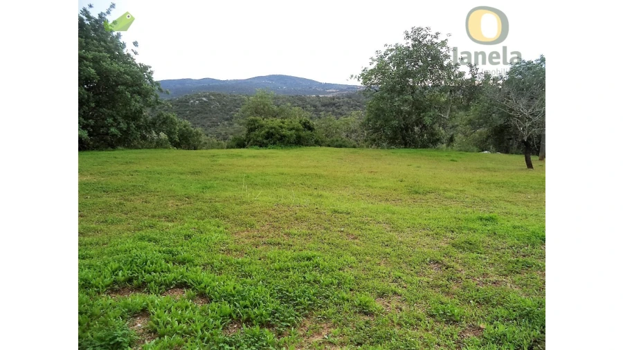 Terreno Misto para Venda em São Brás de Alportel Foto 7