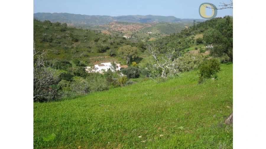 Terreno Misto para Venda em São Brás de Alportel Foto 3