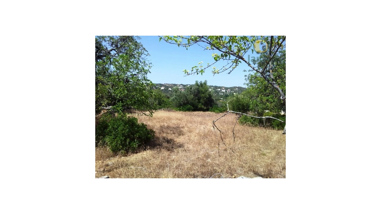 Terreno Agricola ou Rústico para Venda em São Brás de Alportel Foto 3