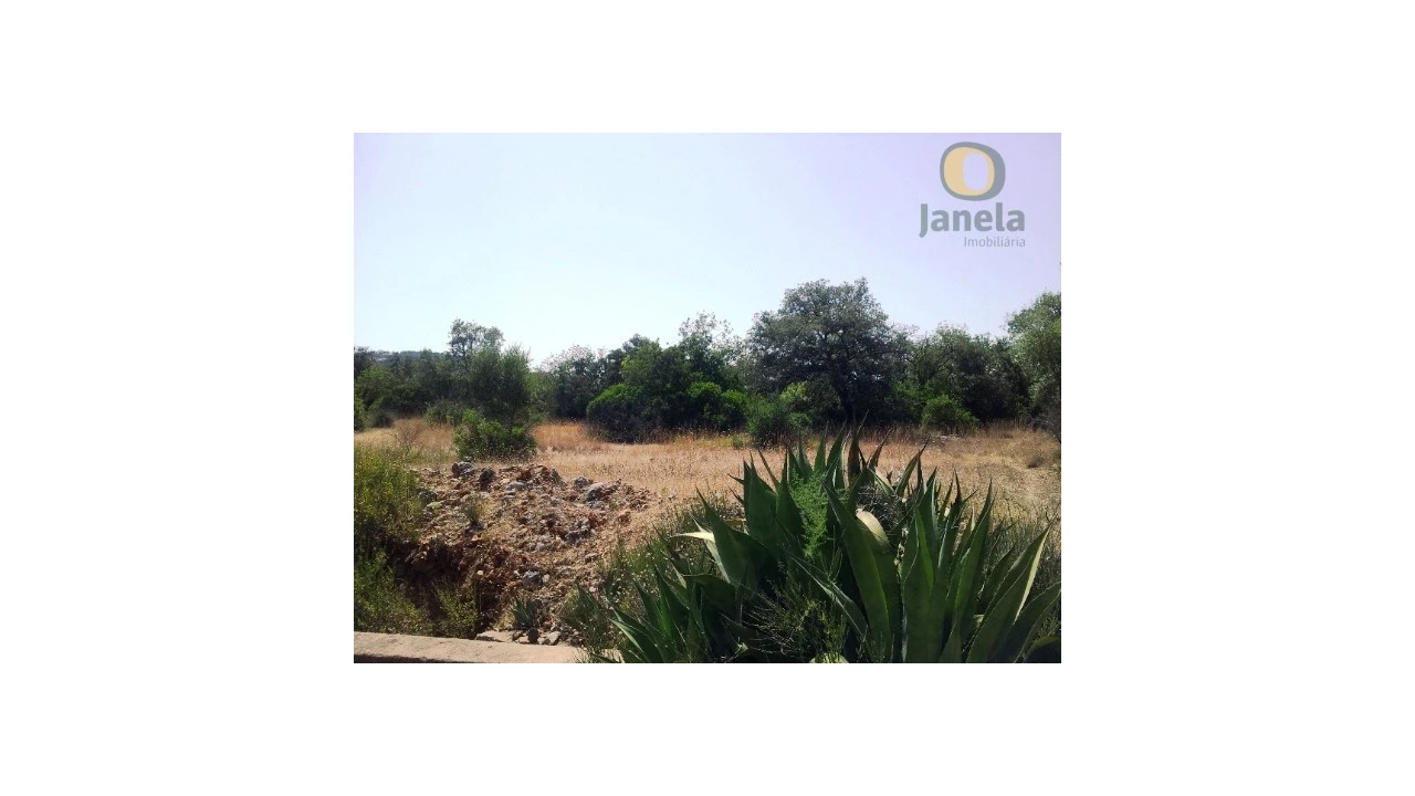 Terreno Agricola ou Rústico para Venda em São Brás de Alportel Foto 5