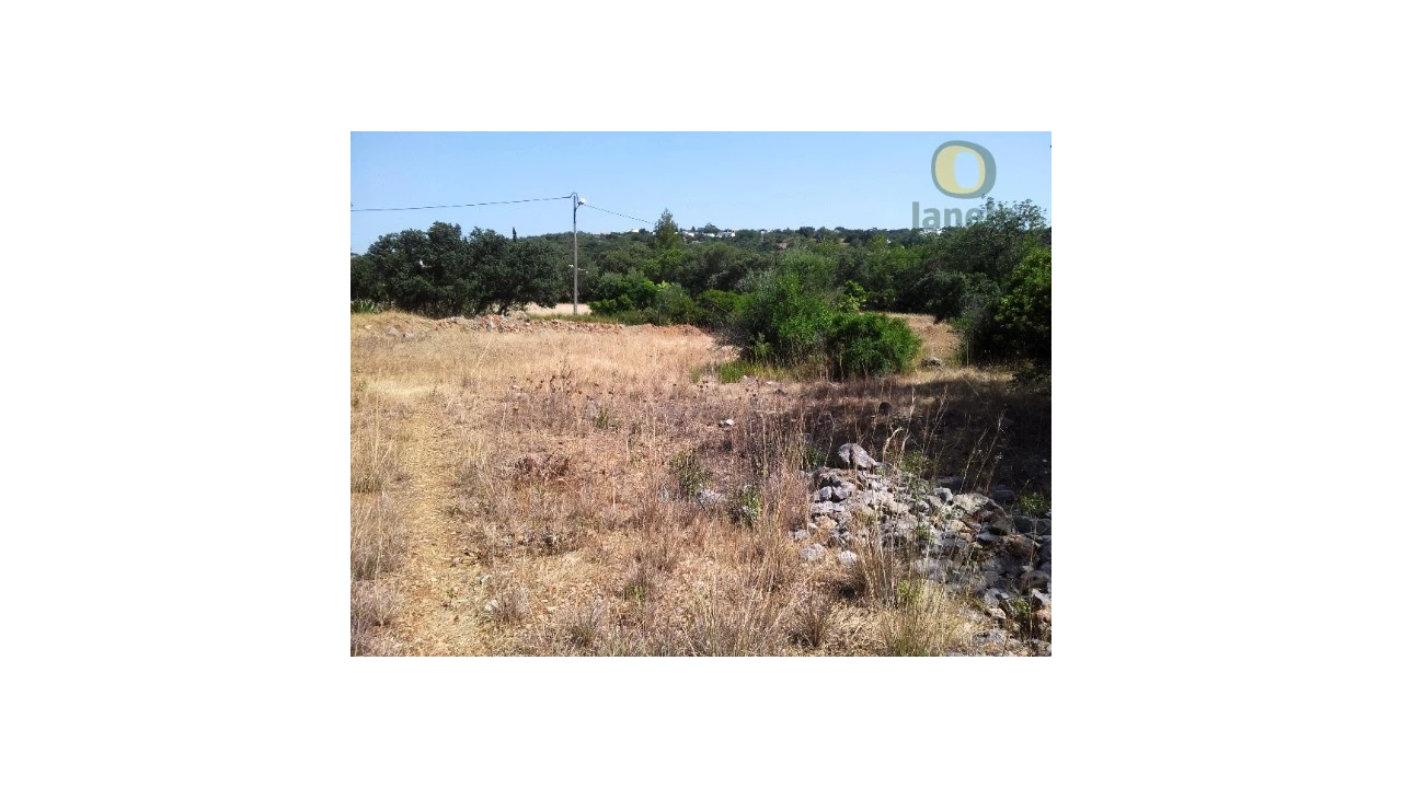 Terreno Agricola ou Rústico para Venda em São Brás de Alportel Foto 6