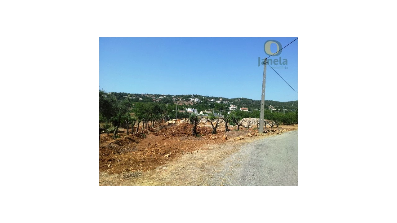Terreno Agricola ou Rústico para Venda em São Brás de Alportel Foto 7
