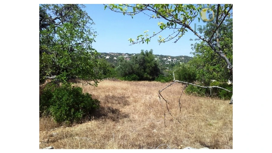 Terreno Agricola ou Rústico para Venda em São Brás de Alportel Foto 3