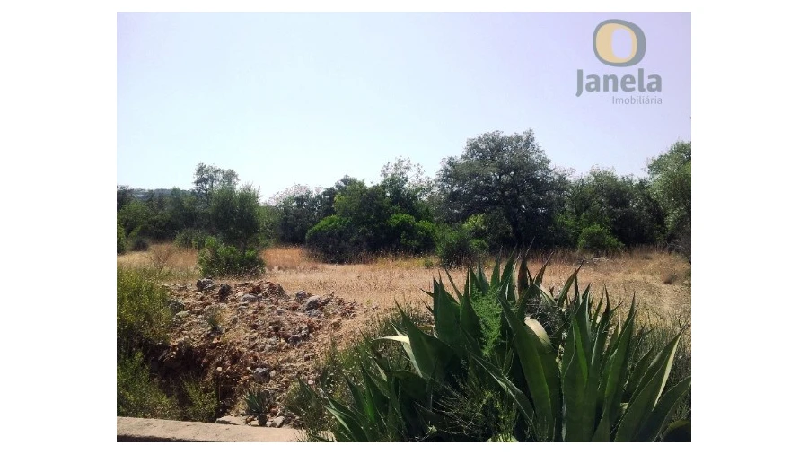 Terreno Agricola ou Rústico para Venda em São Brás de Alportel Foto 5