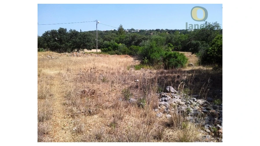 Terreno Agricola ou Rústico para Venda em São Brás de Alportel Foto 6