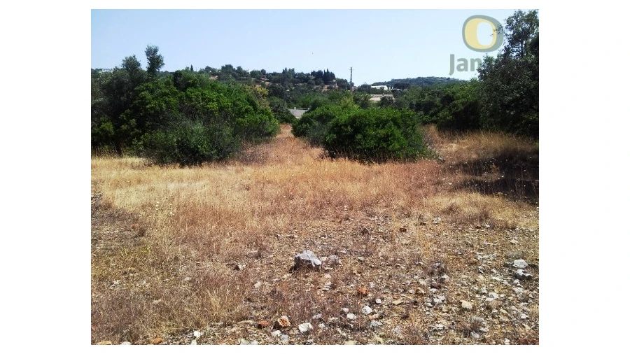 Terreno Agricola ou Rústico para Venda em São Brás de Alportel Foto 1