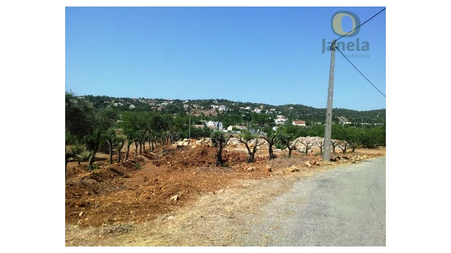 Terreno Agricola ou Rústico para Venda em São Brás de Alportel Foto 7