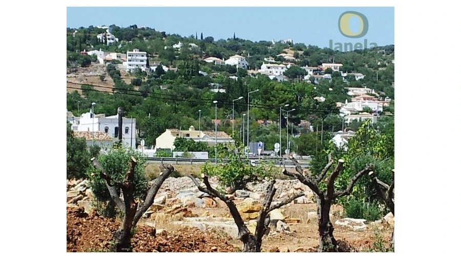 Terreno Agricola ou Rústico para Venda em São Brás de Alportel Foto 8