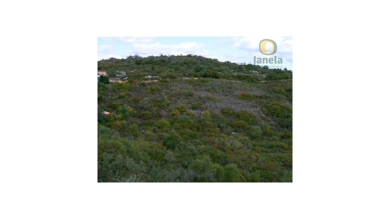 Terreno Agricola ou Rústico para Venda em Moncarapacho e Fuseta Foto 1