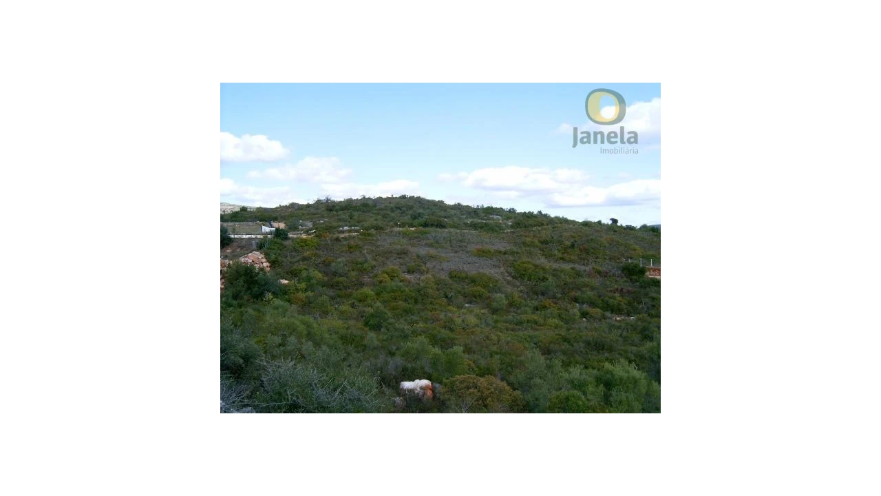 Terreno Agricola ou Rústico para Venda em Moncarapacho e Fuseta Foto 2