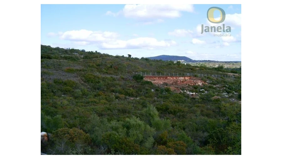 Terreno Agricola ou Rústico para Venda em Moncarapacho e Fuseta Foto 3