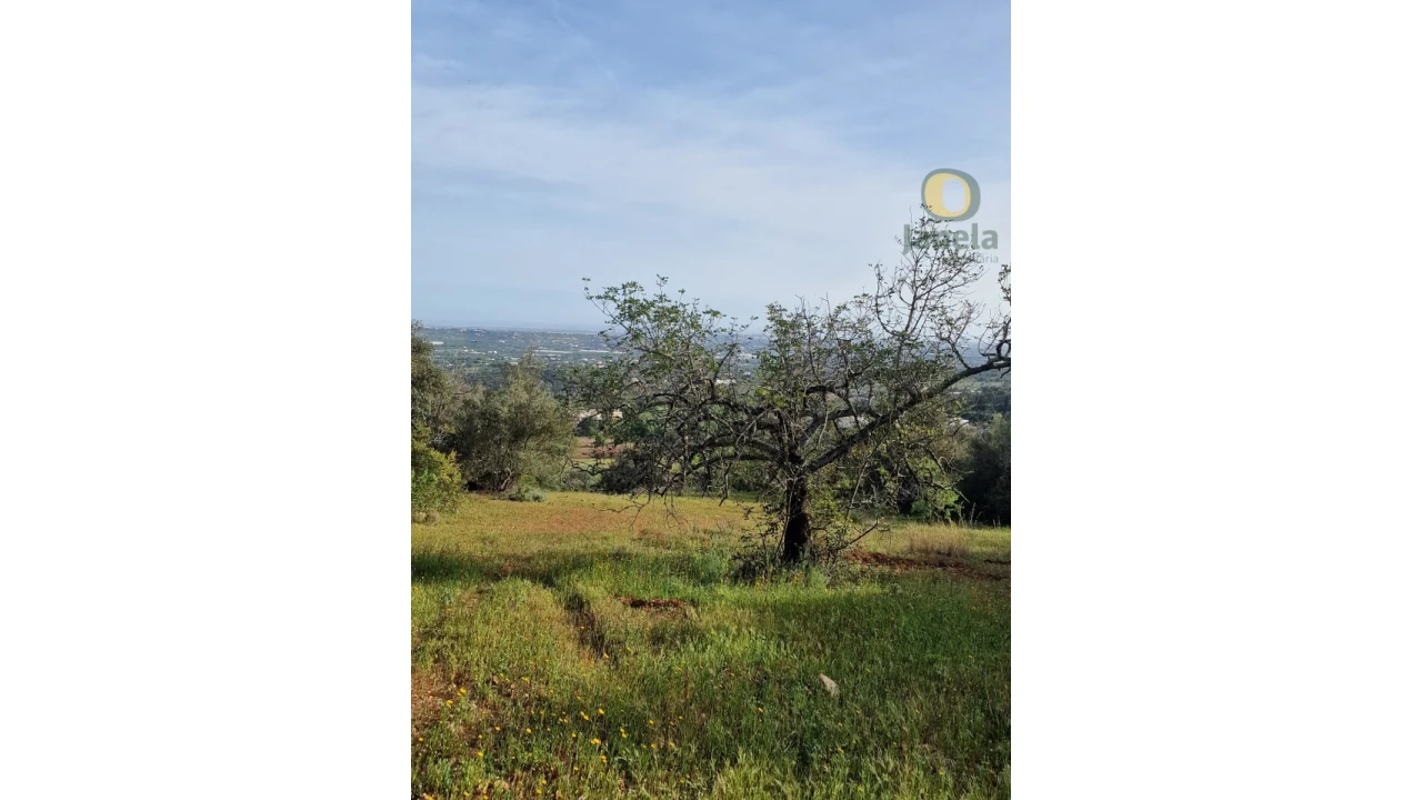 Quinta T4 para Venda em Santa Barbara de Nexe Foto 18