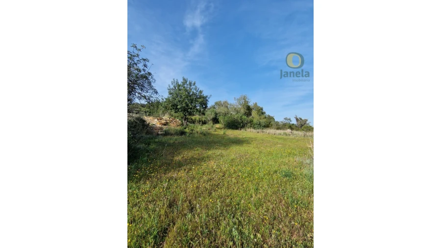 Quinta T4 para Venda em Santa Barbara de Nexe Foto 13