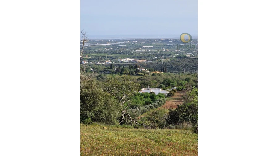 Quinta T4 para Venda em Santa Barbara de Nexe Foto 16