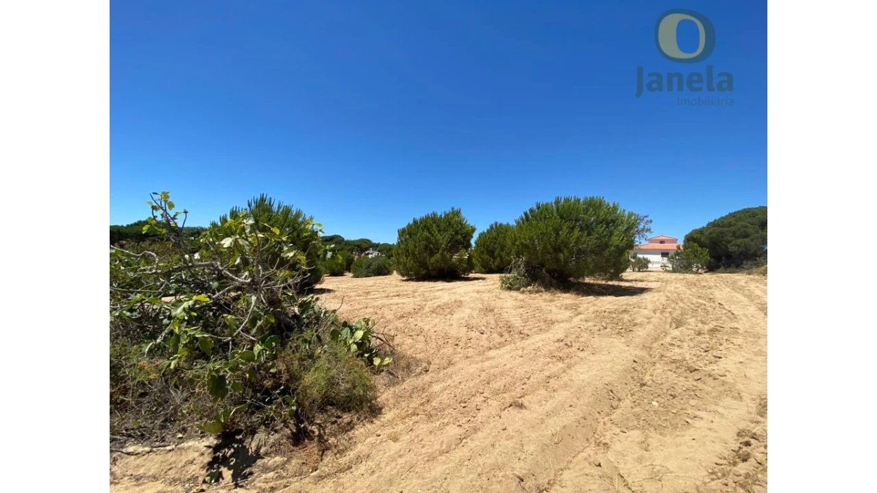 Terreno para Venda em Almancil Foto 5