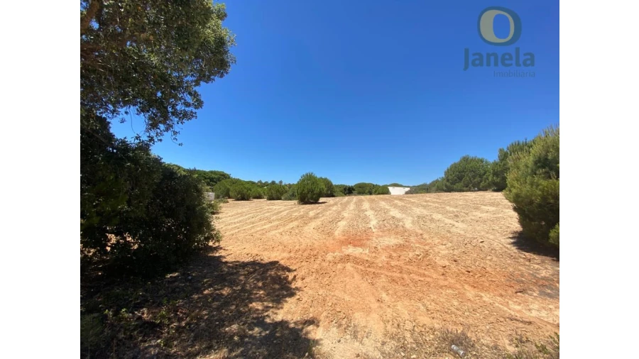 Terreno para Venda em Almancil Foto 3