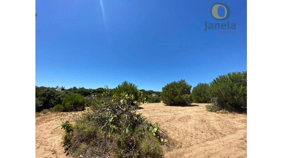 Terreno para Venda em Almancil Foto 6