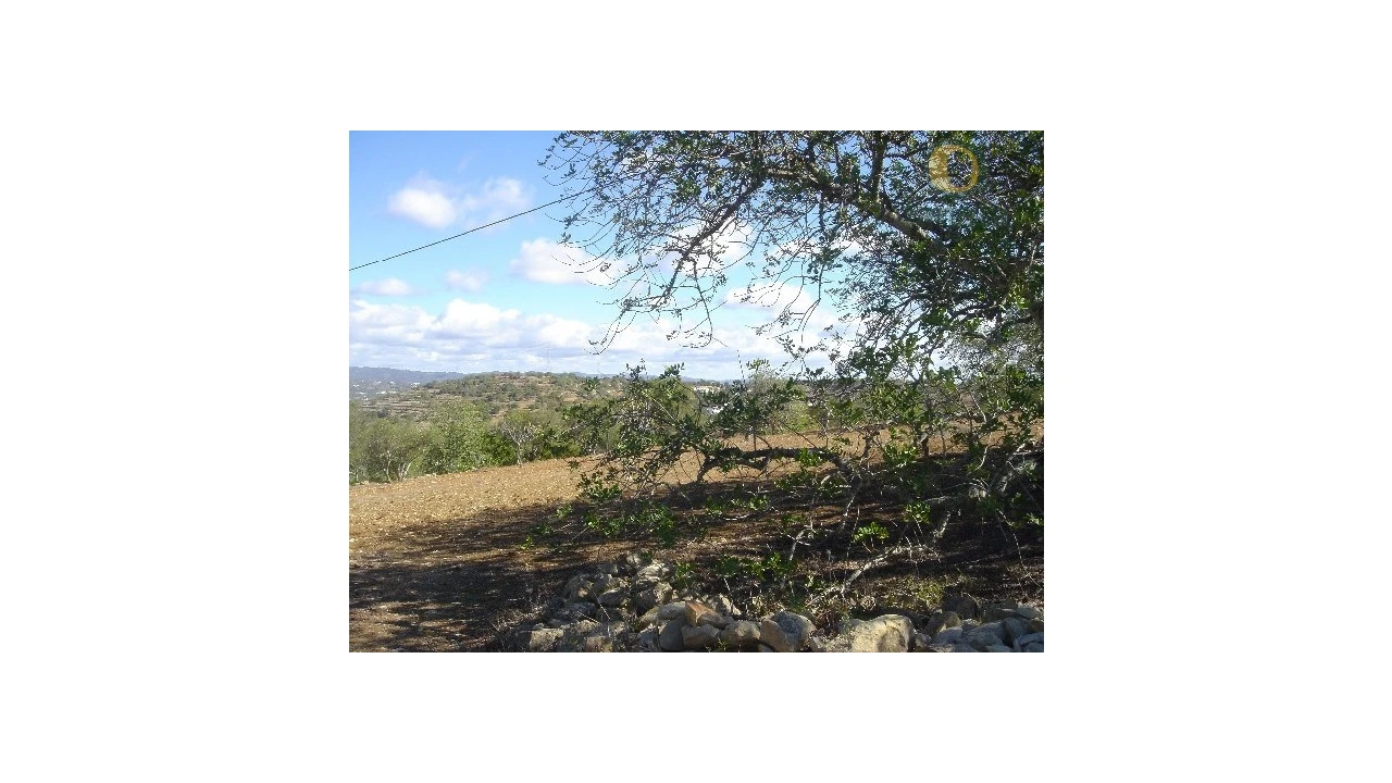 Terreno Agricola ou Rústico para Venda em Conceição e Estoi Foto 1