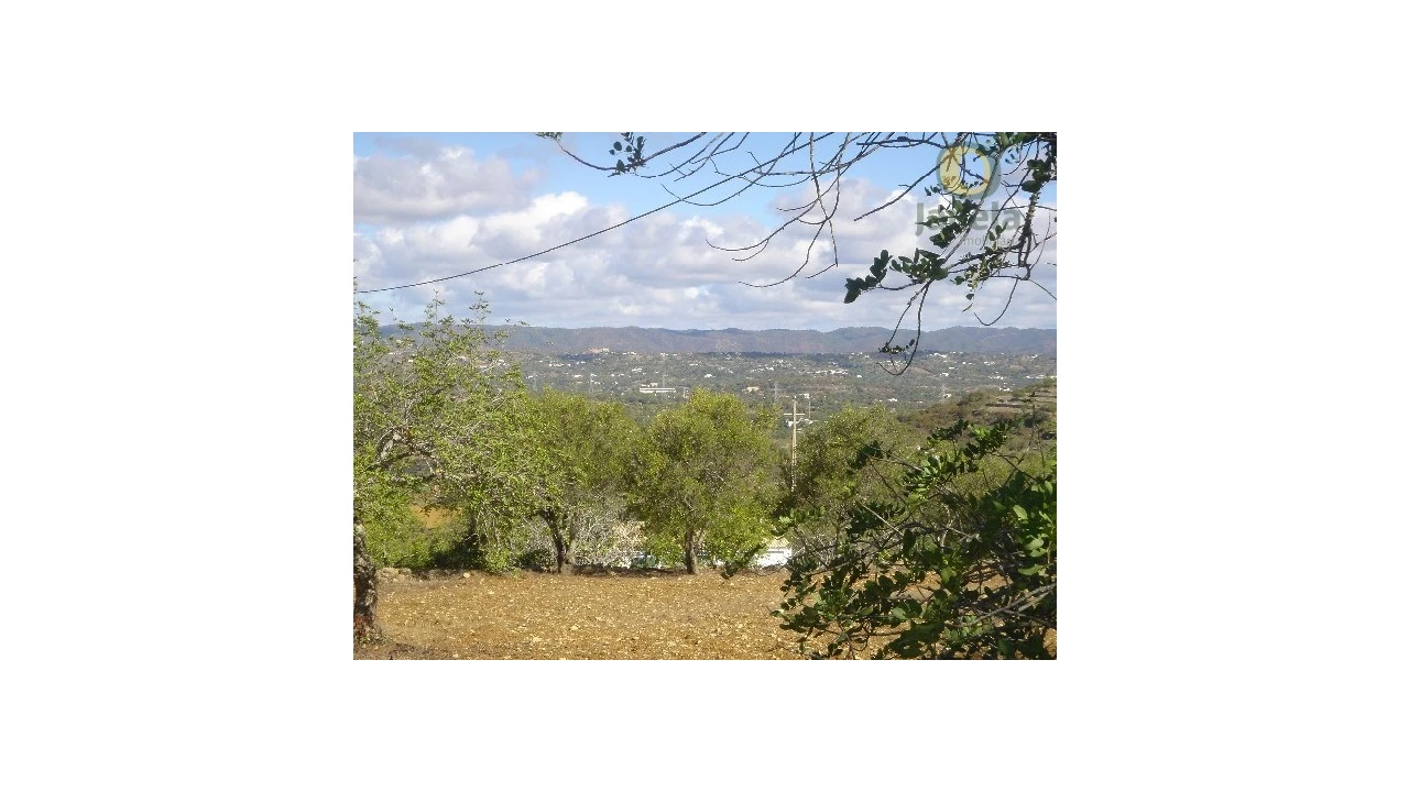 Terreno Agricola ou Rústico para Venda em Conceição e Estoi Foto 2