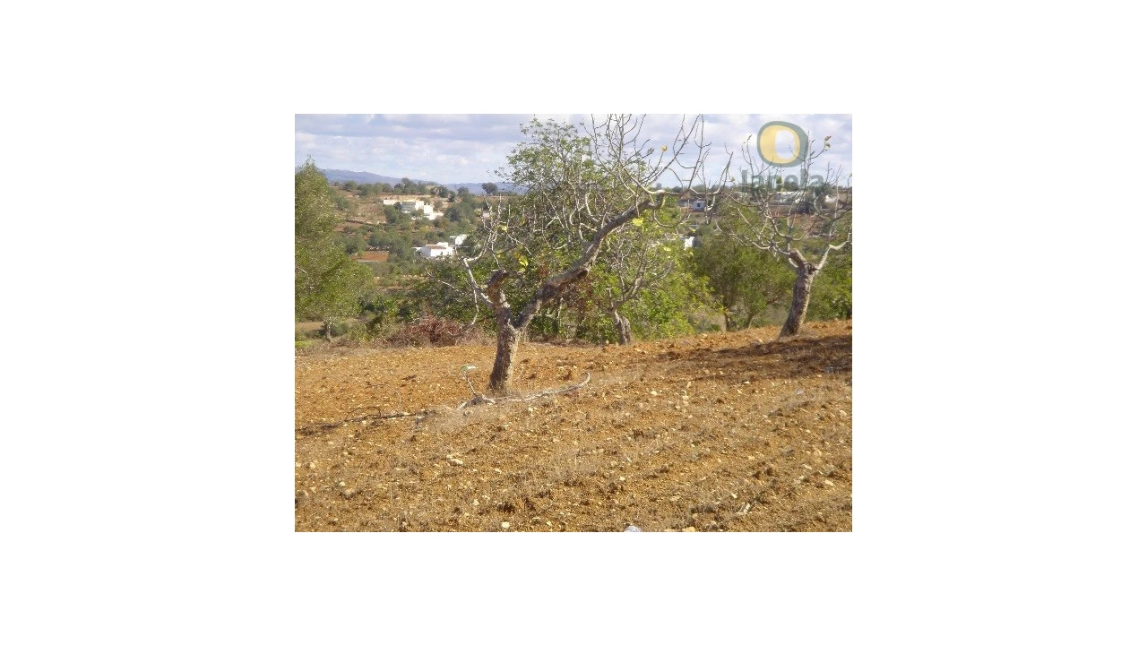 Terreno Agricola ou Rústico para Venda em Conceição e Estoi Foto 4