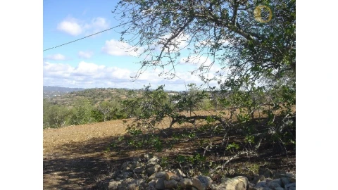 Terreno Agricola ou Rústico para Venda em Conceição e Estoi
