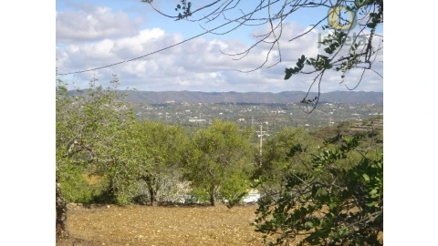 Terreno Agricola ou Rústico para Venda em Conceição e Estoi