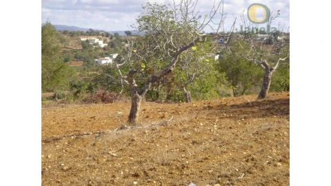 Terreno Agricola ou Rústico para Venda em Conceição e Estoi