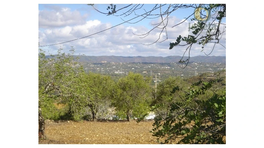 Terreno Agricola ou Rústico para Venda em Conceição e Estoi Foto 2