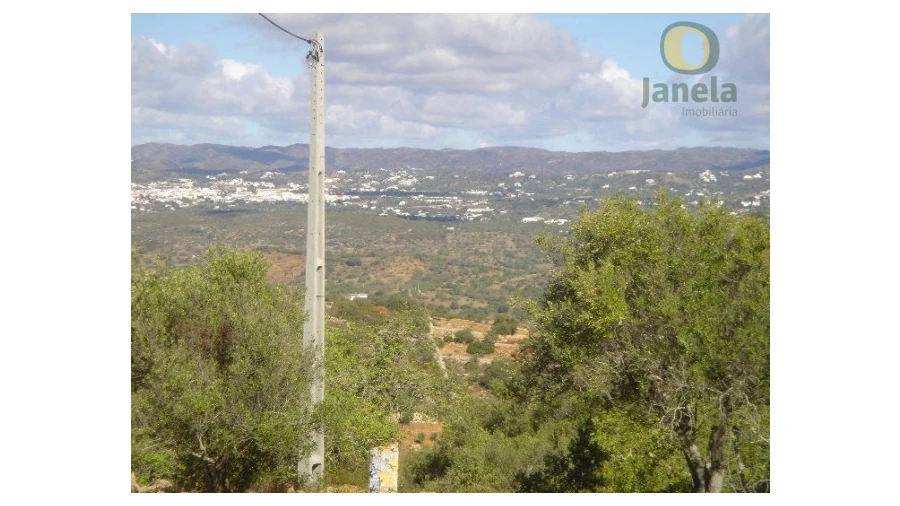 Terreno Agricola ou Rústico para Venda em Conceição e Estoi Foto 3