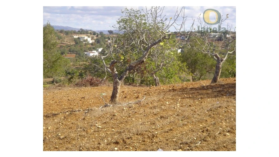 Terreno Agricola ou Rústico para Venda em Conceição e Estoi Foto 4