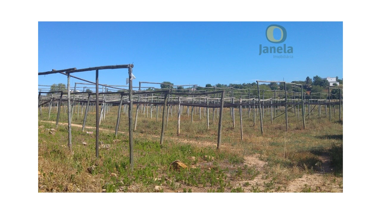 Moradia T3 para Venda em Pechão Foto 2