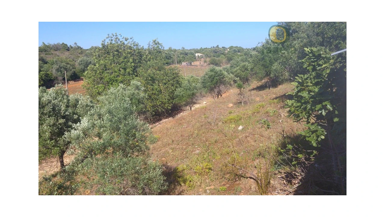 Moradia T3 para Venda em Pechão Foto 3