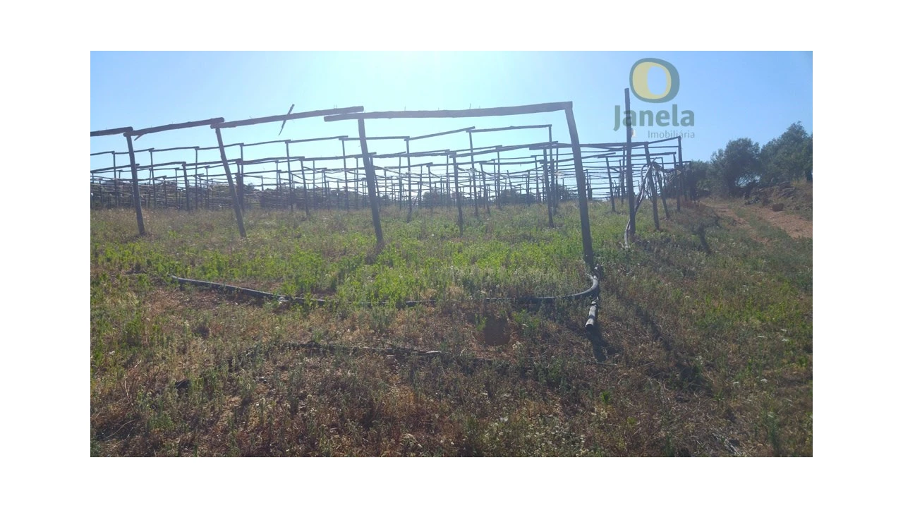 Moradia T3 para Venda em Pechão Foto 14