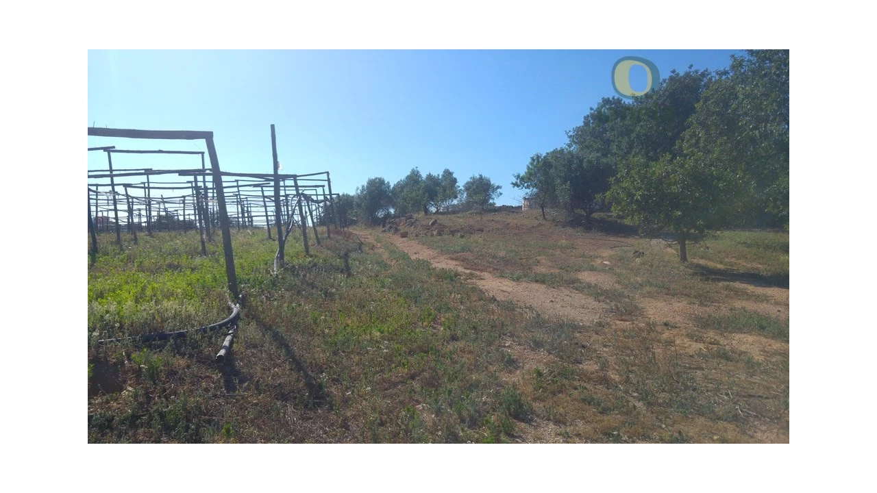 Moradia T3 para Venda em Pechão Foto 15