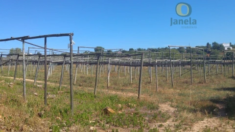Moradia T3 para Venda em Pechão