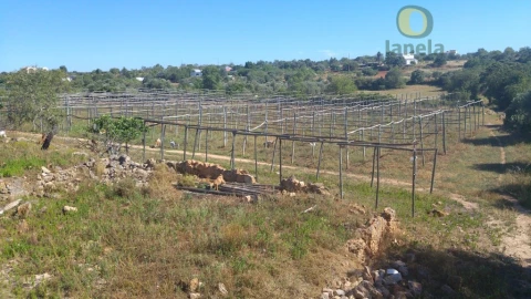 Moradia T3 para Venda em Pechão