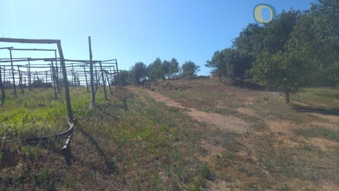Moradia T3 para Venda em Pechão