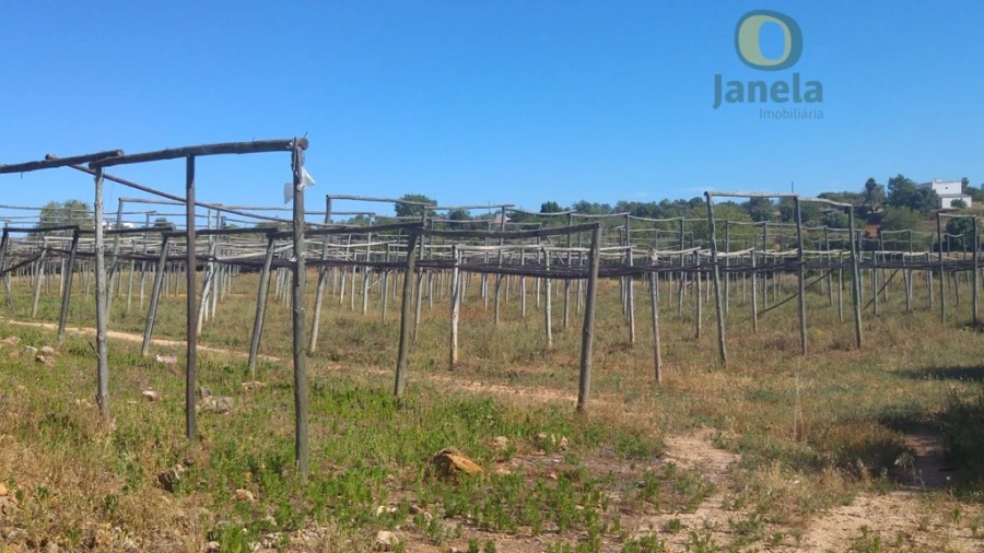 Moradia T3 para Venda em Pechão Foto 2