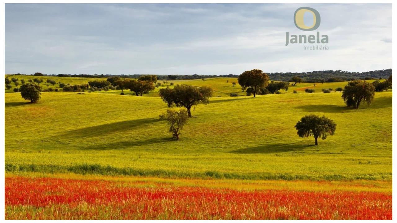 Quinta para Venda em São Teotónio Foto 2