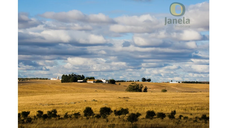 Quinta para Venda em São Teotónio Foto 1