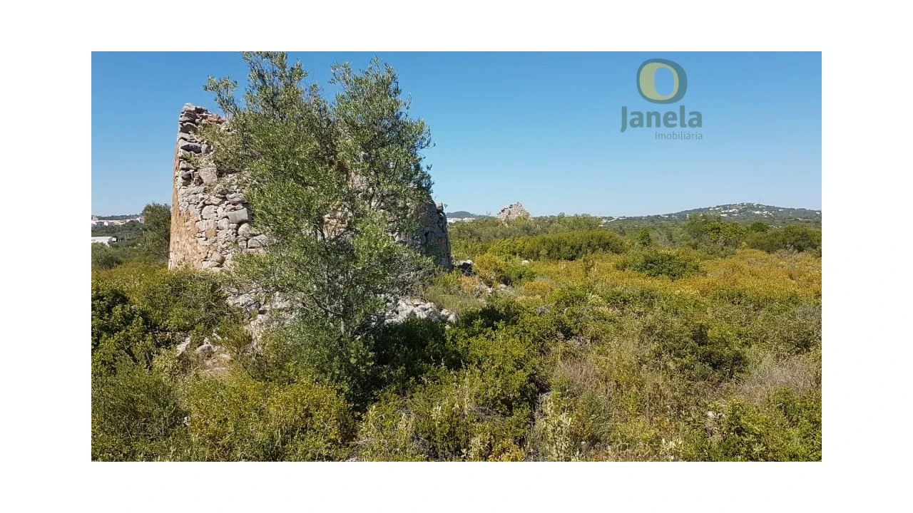 Quinta para Venda em São Brás de Alportel Foto 1