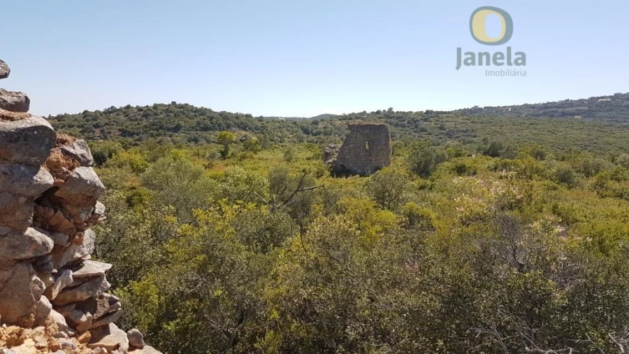 Quinta para Venda em São Brás de Alportel Foto 4